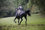 _MG_5449