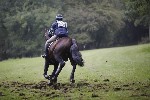 _MG_5480