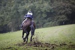 _MG_5481