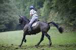 _MG_5496