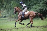 _MG_5529