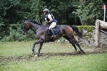 _MG_5537