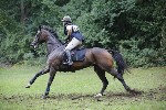 _MG_5538