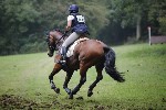 _MG_5547
